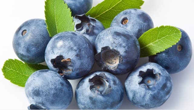 Bilberry Extract - plant extract